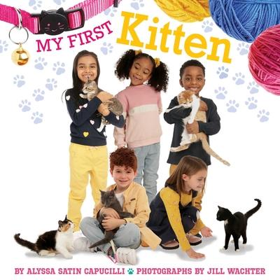 My First Kitten Subscription