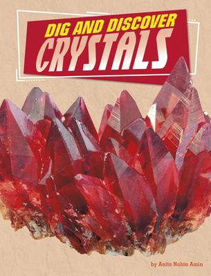 Dig and Discover Crystals Subscription