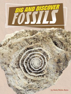Dig and Discover Fossils Subscription