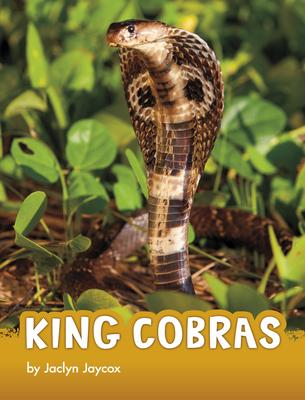 King Cobras Subscription