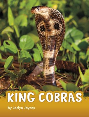 King Cobras