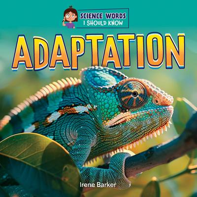 Adaptation Subscription