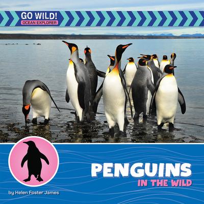 Penguins in the Wild Subscription