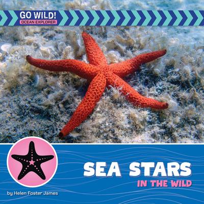 Sea Stars in the Wild Subscription