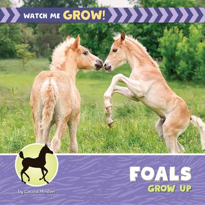 Foals Grow Up Subscription