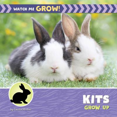 Kits Grow Up Subscription