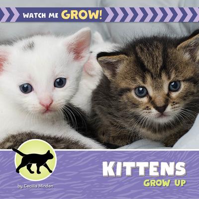 Kittens Grow Up Subscription