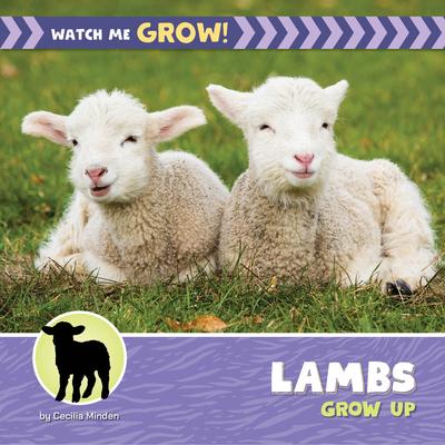 Lambs Grow Up Subscription