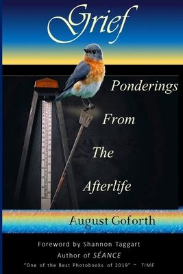 Grief: Ponderings From The Afterlife