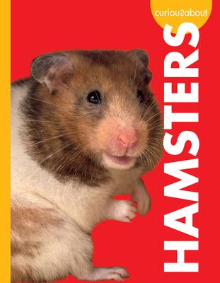 Curious about Hamsters