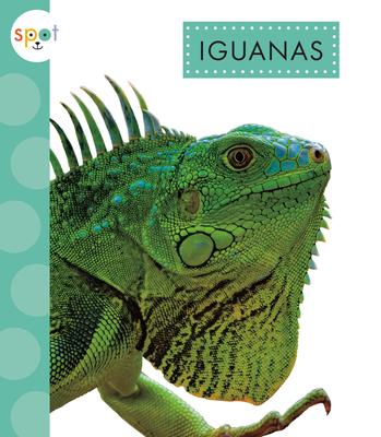 Iguanas