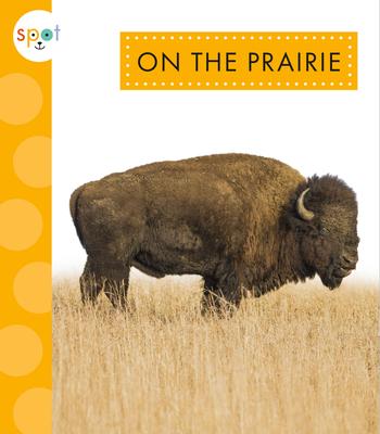 On the Prairie