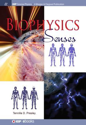 Biophysics of the Senses