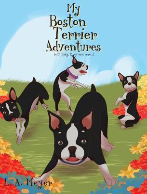 My Boston Terrier Adventures (with Rudy, Riley and more...)