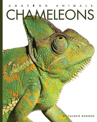 Chameleons