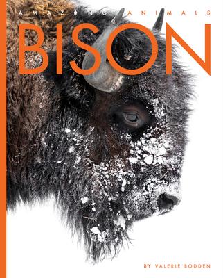 Bison