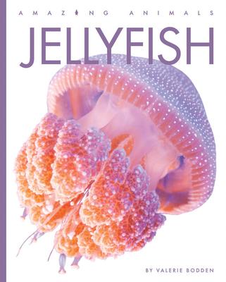 Jellyfish