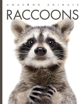 Raccoons