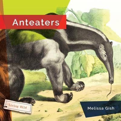 Anteaters