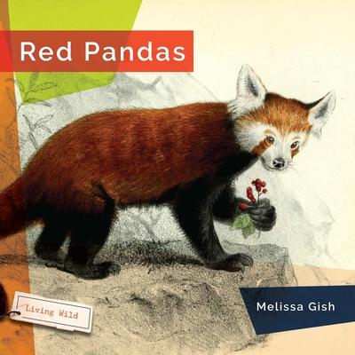 Red Pandas