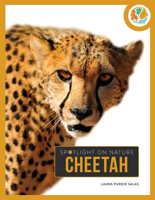 Cheetah