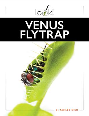 Venus Flytrap Subscription