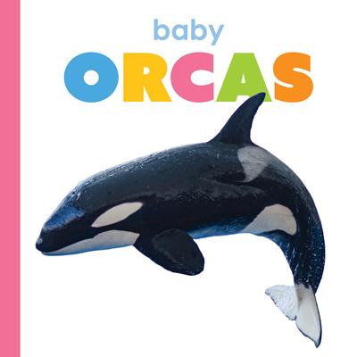 Baby Orcas Subscription