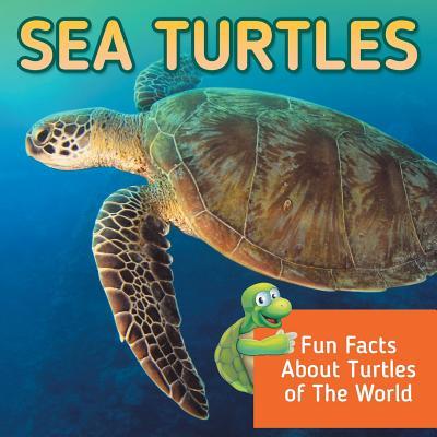 Sea Turtles: Fun Facts About Turtles of The World