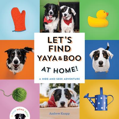 Let's Find Yaya and Boo at Home!: A Hide-And-Seek Adventure