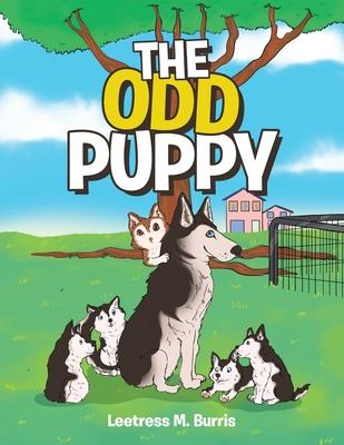 The Odd Puppy