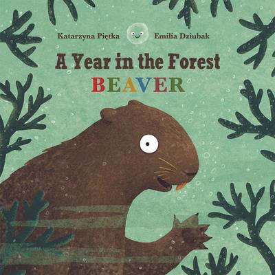 A Year in the Forest with Beaver