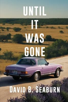 Until It Was Gone: A Contemporary Family Novel of Resilience and Hope