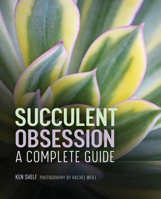 Succulent Obsession: A Complete Guide