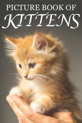 Picture Book of Kittens: Picture Book of Kittens: For Seniors with Dementia [Cute Picture Books]