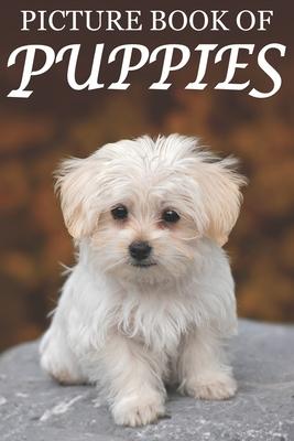 Picture Book of Puppies: Picture Book of Puppies: For Seniors with Dementia [Cute Picture Books]