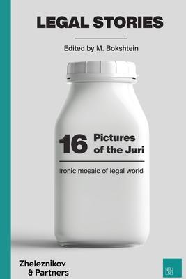 16 Pictures of the Juri: Ironic Mosaic of Legal World