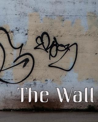 The Wall: 15 Days Quarantine, BJS Photography Subscription