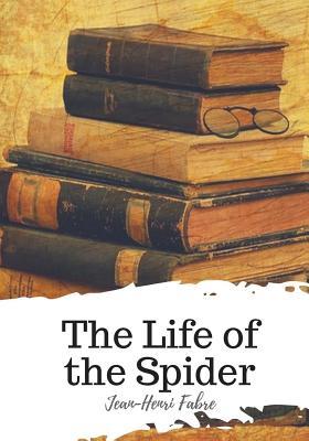 The Life of the Spider