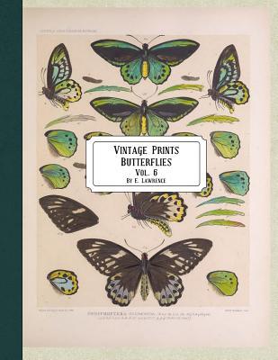 Vintage Prints: Butterflies: Vol. 3