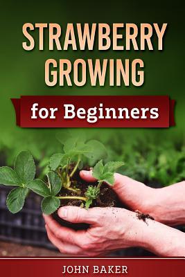 Strawberry Growing for Beginners