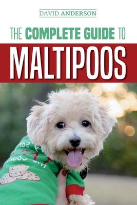 The Complete Guide to Maltipoos: Everything you need to know before getting your Maltipoo dog