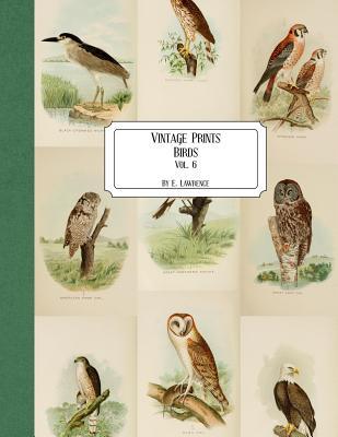 Vintage Prints: Birds: Vol. 6