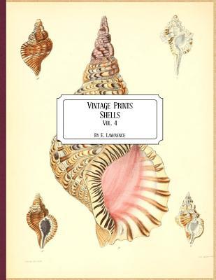 Vintage Prints: Shells: Vol. 4