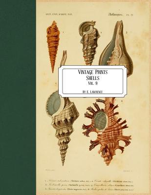 Vintage Prints: Shells: Vol. 9