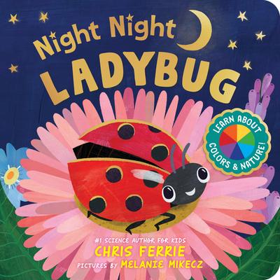 Night Night Ladybug Subscription