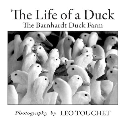 The Life of a Duck: The Barnhardt Duck Farm