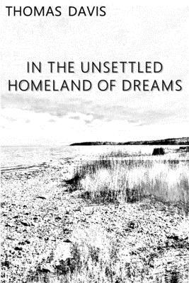 In the Unsettled Homeland of Dreams