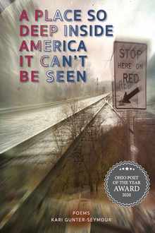 A Place So Deep Inside America It Can't Be Seen: Poems
