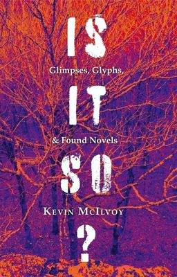 Is It So?: Glimpses, Glyphs, & Found Novels