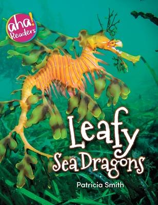 Leafy Sea Dragons